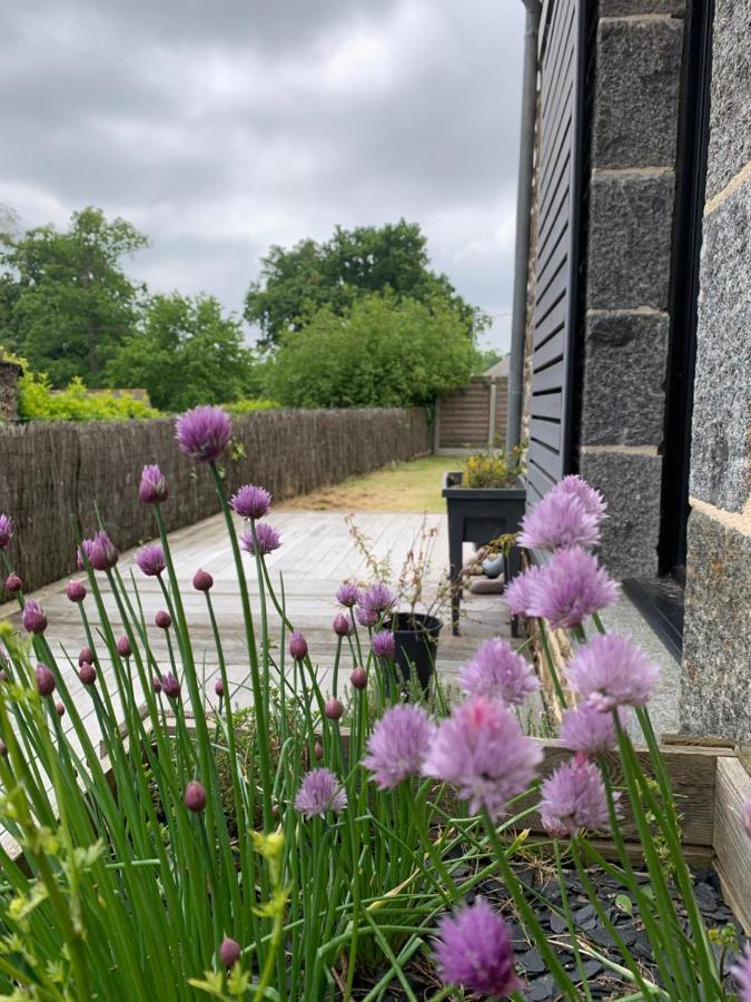 La Maison D'Aurelie Pleudihen-sur-Rance Esterno foto
