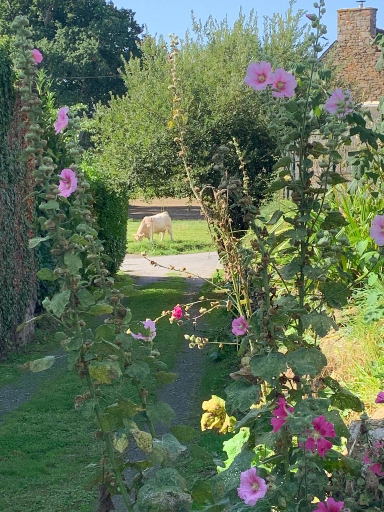 La Maison D'Aurelie Pleudihen-sur-Rance Esterno foto